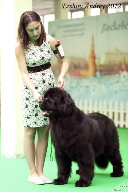 Фотография № 91806