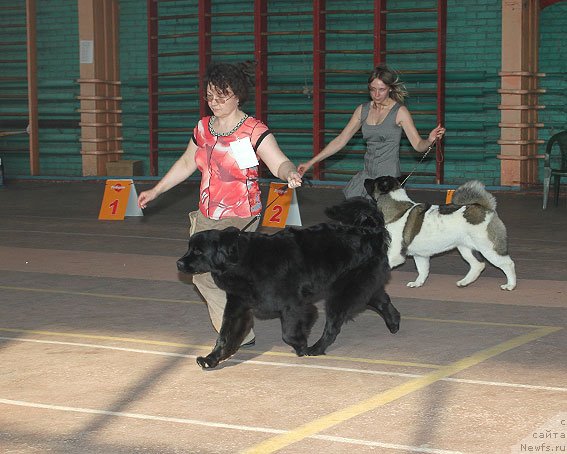 Фотография № 91836