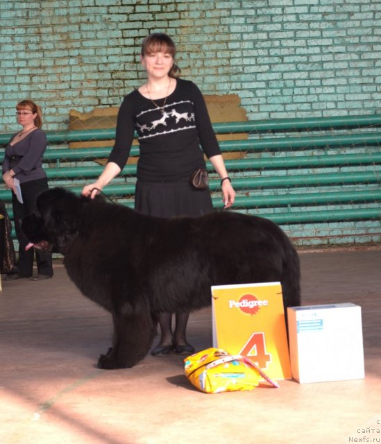 Фотография № 91879