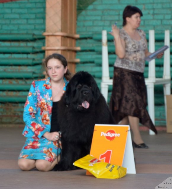 Фотография № 91897