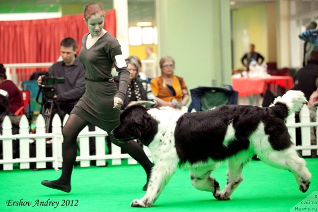 Фотография № 91904