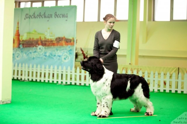 Фотография № 91911