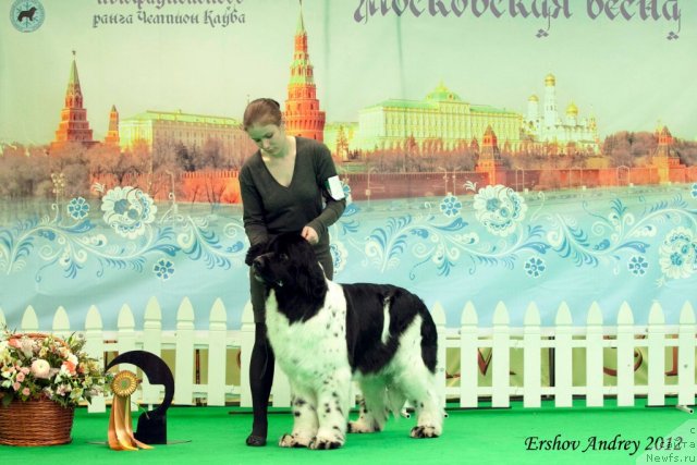 Фотография № 91913