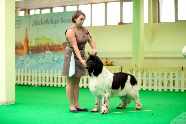 Фотография № 91914