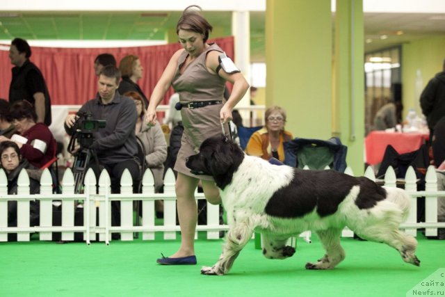 Фотография № 91916