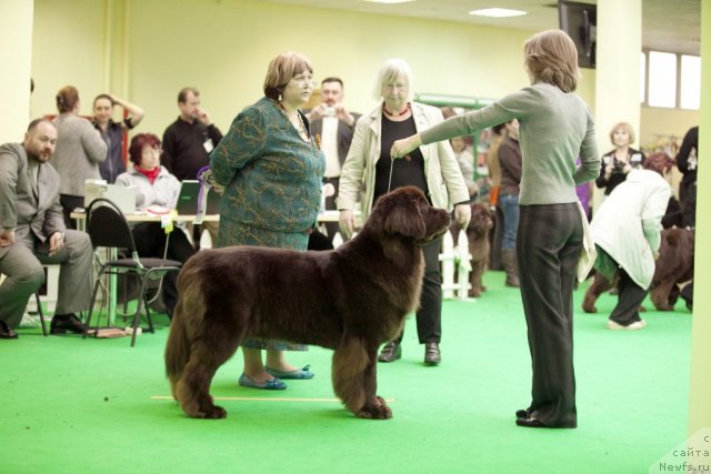 Фотография № 91918