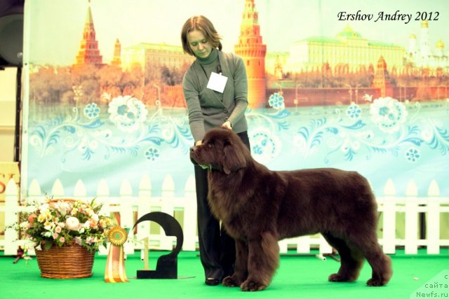 Фотография № 91920