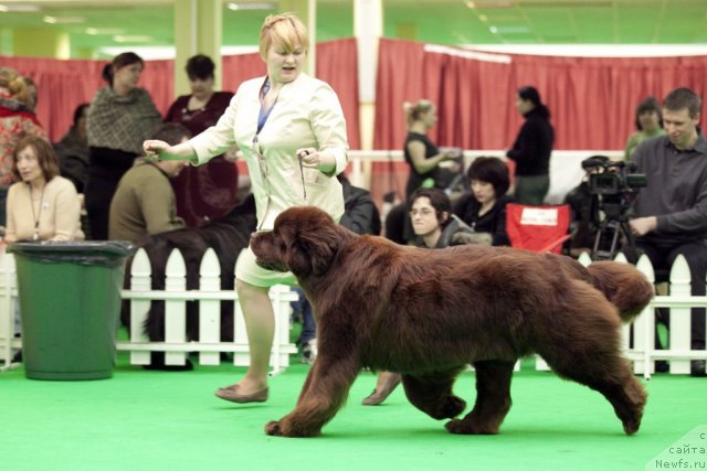 Фотография № 91925