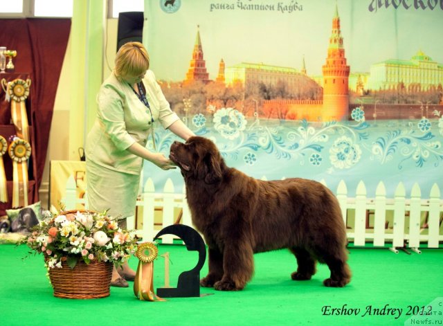 Фотография № 91926