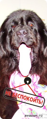 Фото: Aliya Abdurahmanova (Алия Абдурахманова)