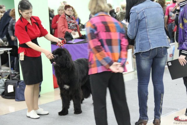 Фотография № 91957