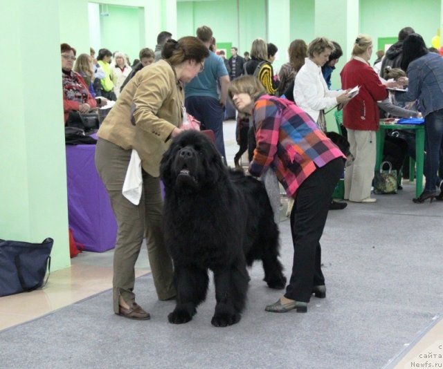 Фотография № 91961