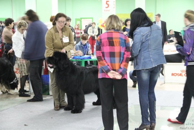 Фотография № 91964