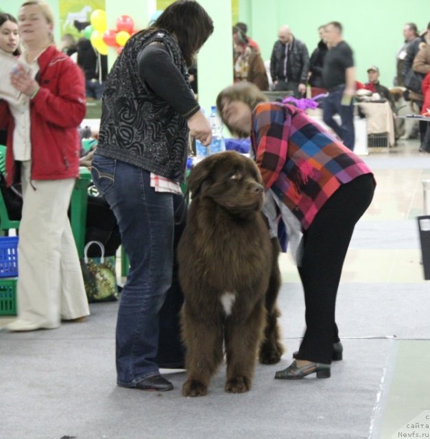 Фотография № 91970