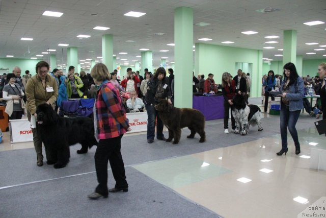 Фотография № 91974