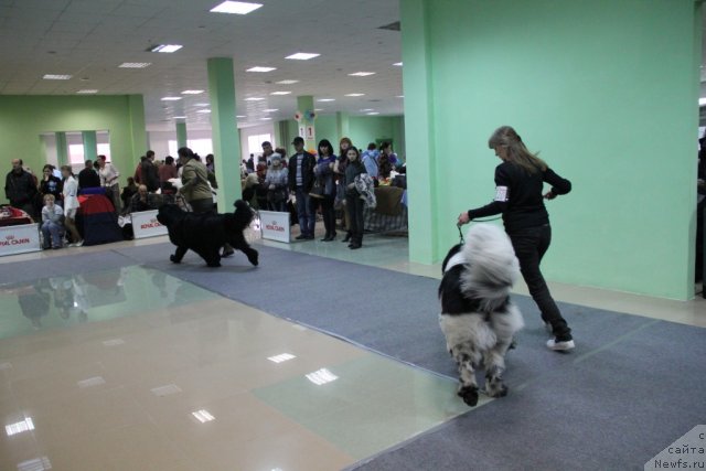 Фотография № 91976