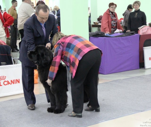 Фотография № 91978