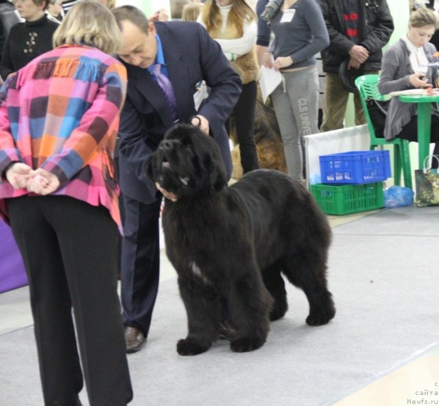 Фотография № 91979