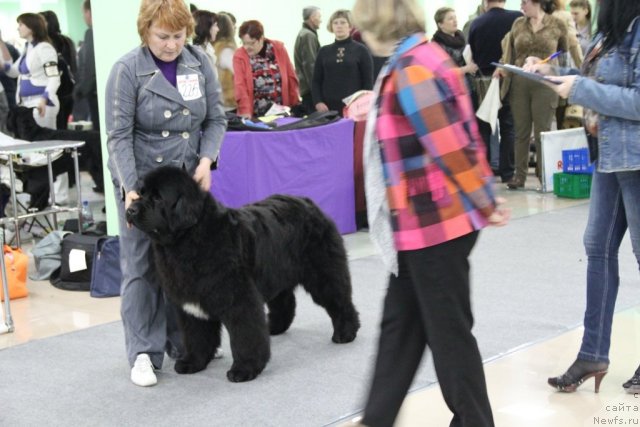 Фотография № 91982