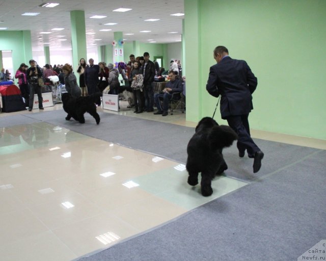 Фотография № 91983