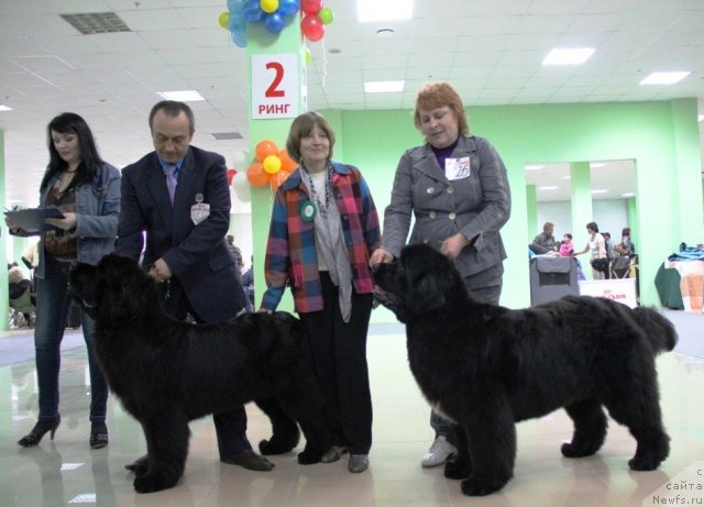 Фотография № 91984