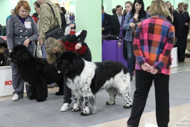 Фотография № 91985