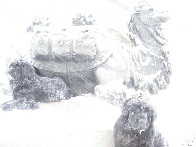 Фотография № 9200