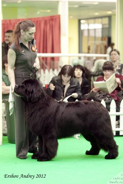 Фотография № 92002