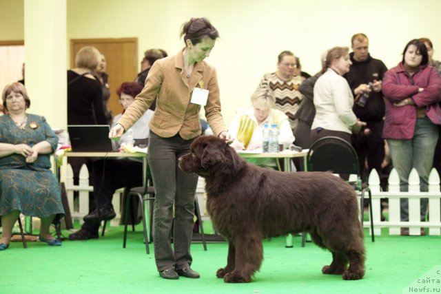 Фотография № 92005