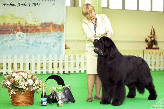 Фотография № 92009