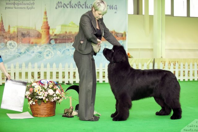 Фотография № 92029