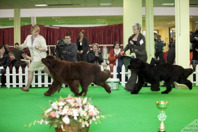 Фотография № 92038