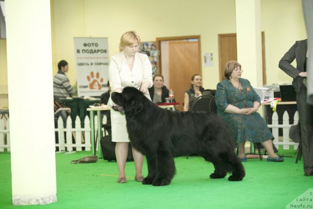 Фотография № 92047