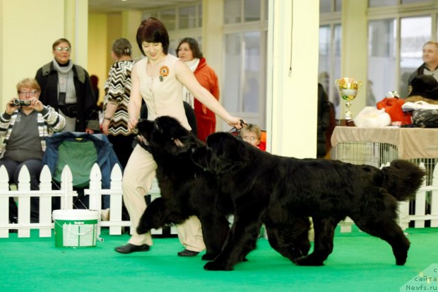 Фотография № 92057