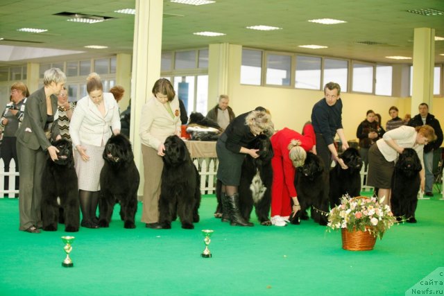 Фотография № 92063