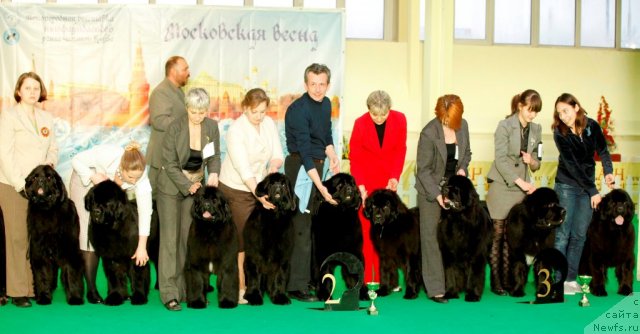 Фотография № 92069