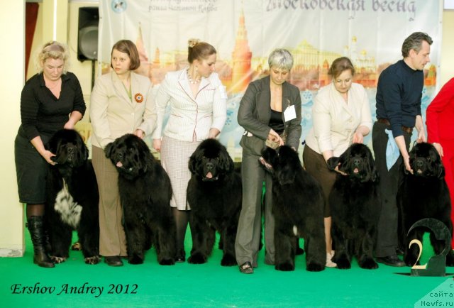 Фотография № 92071