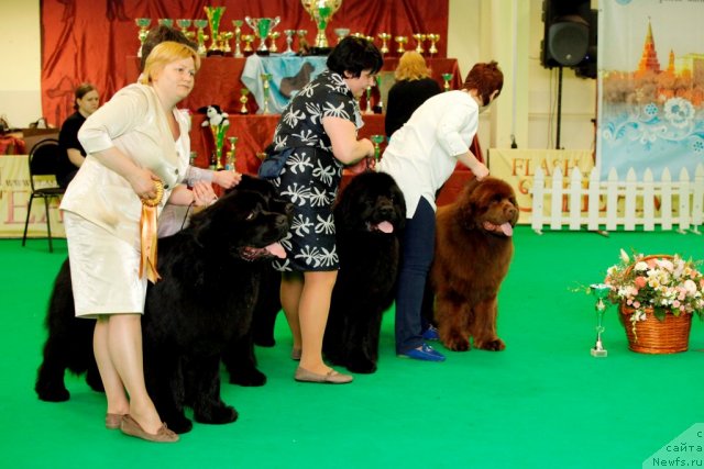 Фотография № 92072