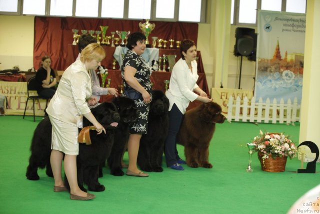 Фотография № 92073