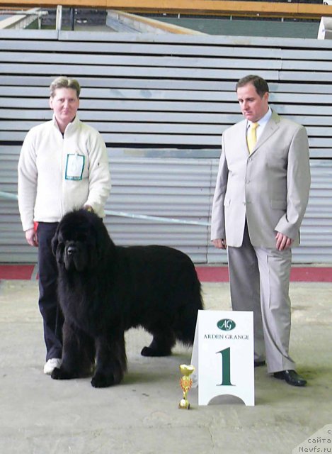 Фотография № 92083