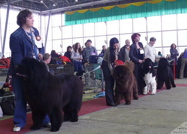 Фотография № 92086