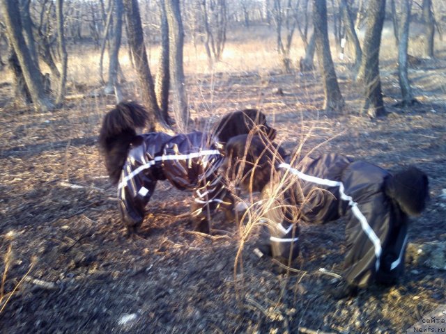 Фотография № 92103