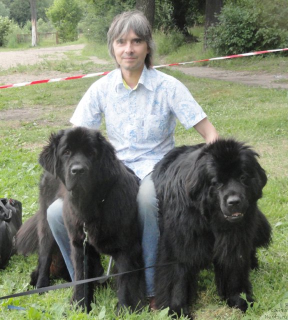 Фото: ньюфаундленд Beguschaya po Volnam Harizma (Бегущая по Волнам Харизма), ньюфаундленд Beguschaya po Volnam Samo Sovershenstvo (Бегущая по Волнам Само Совершенство), Александр Акулин