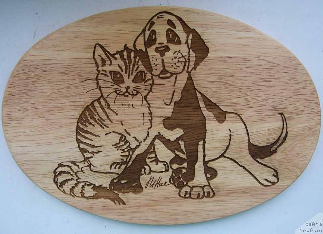 Фотография № 9215