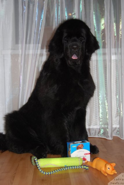 Фотография № 92159