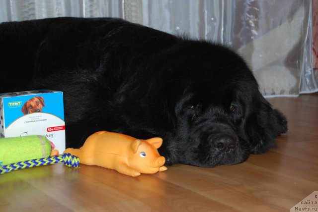 Фотография № 92162