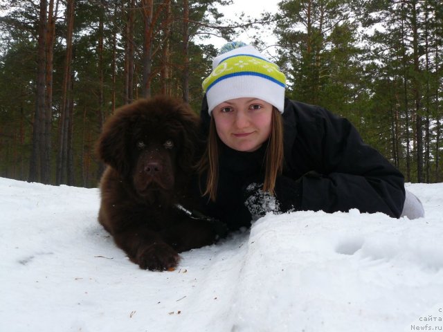 Фото: ньюфаундленд N'yufort Prado (Ньюфорт Прадо), Alisa Aref'eva (Алиса Арефьева)