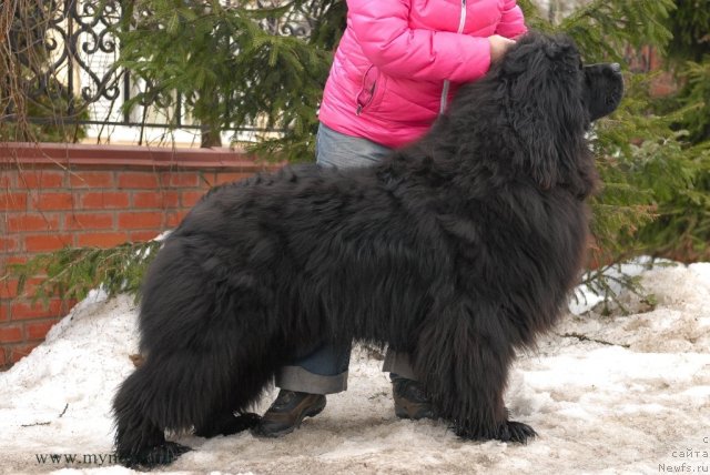 Фотография № 92184