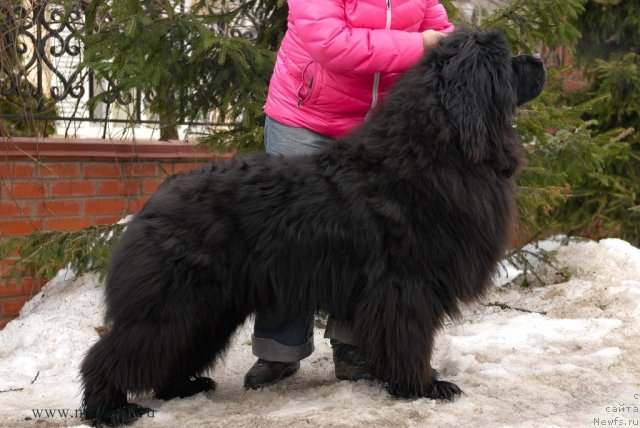 Фотография № 92185