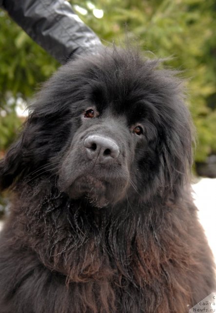 Фотография № 92189